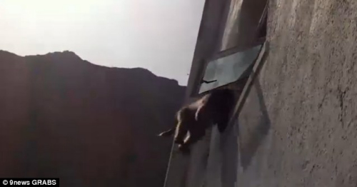 �����ƴ����룬�����Ϸ�һ����լ��