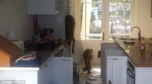 ����������Ū�����߰��㡣