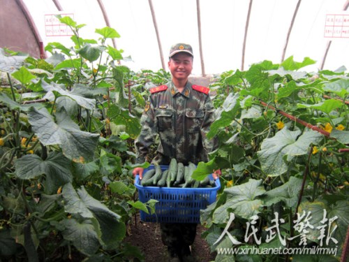 蔬菜瓜果飘香宜人 蔬菜瓜果飘香宜人
