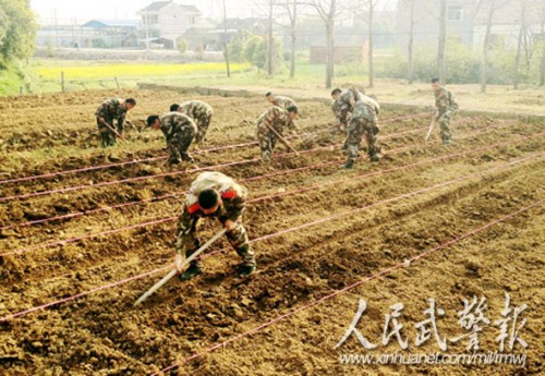 武警战士整修田埂 武警战士整修田埂