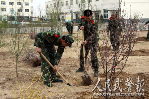 官兵们辛勤植树 官兵们辛勤植树
