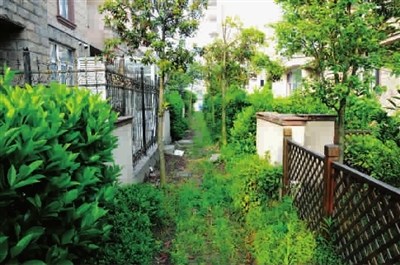 犯别墅区“敞开式”设计,一旦歹徒突破“门防”就容易下手 资料图片 犯别墅区“敞开式”设计,一旦歹徒突破“门防”就容易下手 资料图片