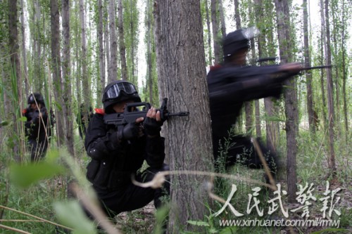 丛林中快速出击 丛林中快速出击