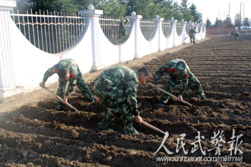 战士们平整菜地 战士们平整菜地