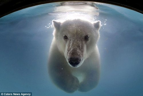 ��ֻ�������ر��ھ�ͷǰ���ա�