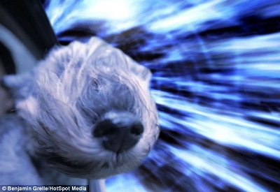 ���顰̫���紵�����ĸо���