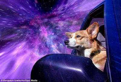 ��ֻ��������Ӱʦ�������ĳ���