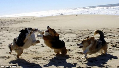 û���ӹ���