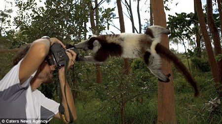 ���Ѷȶ���
