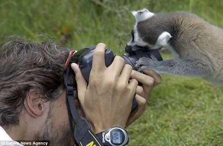 ����