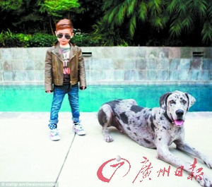 阿朗索不乏名犬与其搭配。 阿朗索不乏名犬与其搭配。