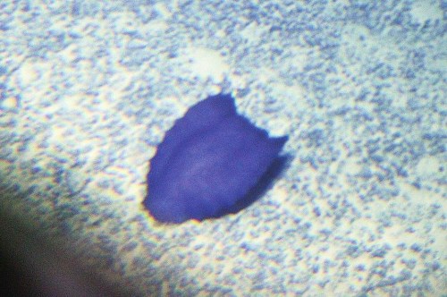 ��3500����׻�ɽ�ͱ��Ϸ��ֵ���������