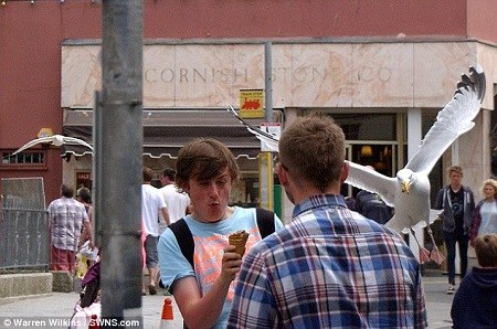 ����١��ɹ�����ŸѸ�ٷ���