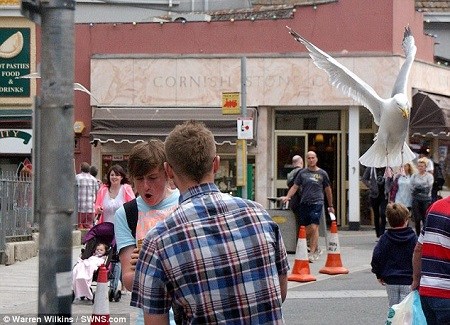 �к���ͻ�������ġ���١�����һ����