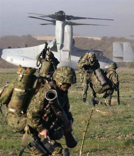 ����ʹ����ӥ����չ���ϵ�½��ϰ