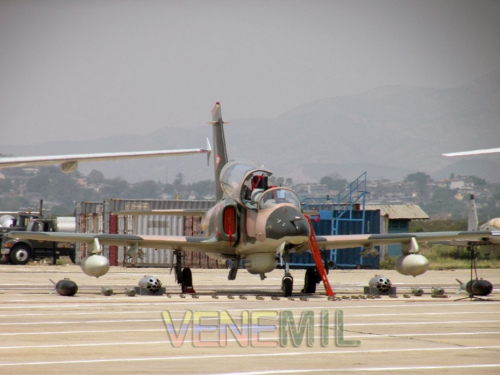 ί������K-8����������չʾ