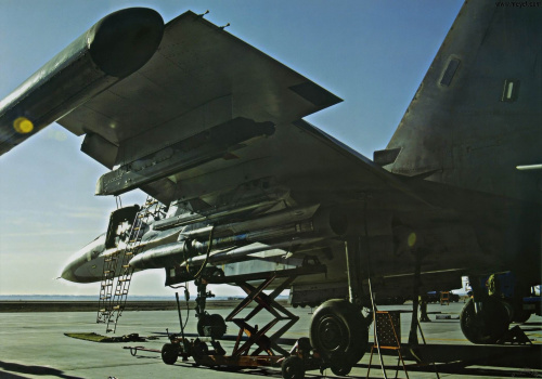 �ܶ�������Ϊ��Ƭ�ϼ�11ս��Я���������ͷ����䵼����