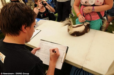 �����ֳ������жԳ��������ۺϿ���