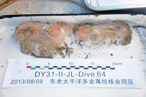 �ɼ�������Ʒ