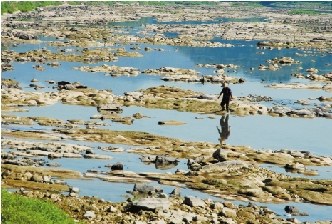 �ٲ����Ӵ���¶