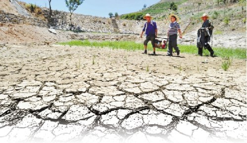 ������鼻�������