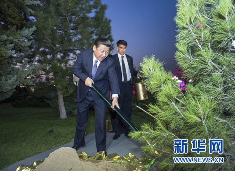 习近平种下象征中国与土库曼斯坦两国友谊的杉树