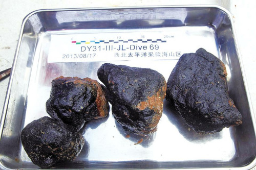 采集海山岩石样品 采集海山岩石样品