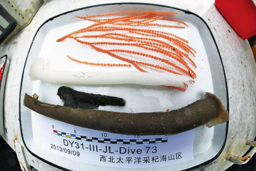 �����Ųɼ���Ʒ