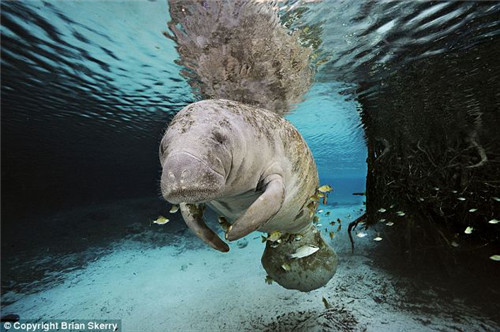 ��̬����ĺ�ţ�ں������г��Ρ�