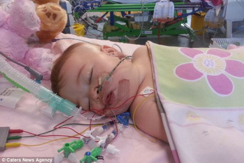 ޱ¶��12��������ֹͣ�����Ρ�