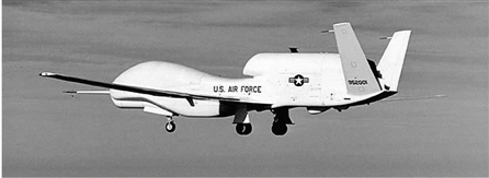 ȫ��ӥ���˻�