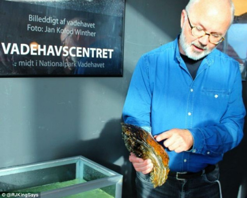 ���ĵ����44�ŵ�Ь���������ⲿ������������Сĵ�á�