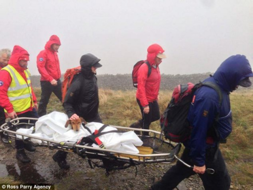 ��Ԯ��Ա�õ��ܽ����ڷ�����̧�����ﱣ���������о��Ρ�