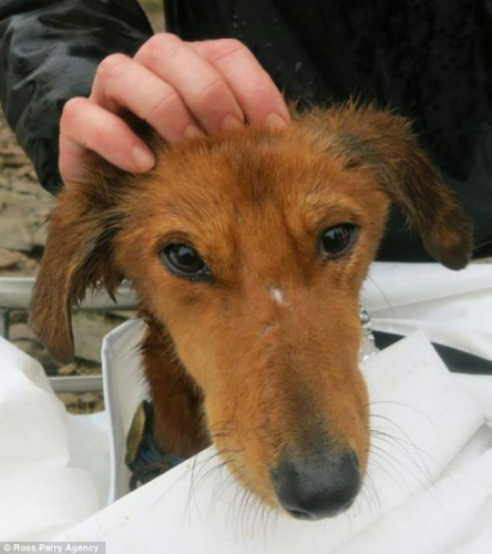 ���ڷ����������Լ��4��롣