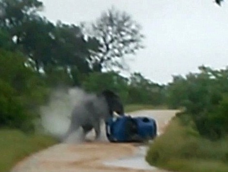 ��ͷ���������ڷ����ڣ����ױ�ÿ��꣬���Զ�������·����˹���