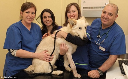 Ŀǰ��ҽ����Ա�Ѿ��޸��ˡ�ɣ�ϡ�����ǰ��