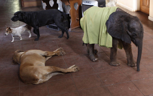 С��͹���Ҳ�ܳ�Ϊ���ѡ�