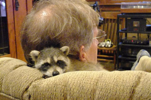 ��������ϲ����ɳ����λ��