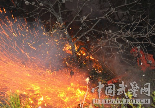 武警森林官兵在一线扑救火灾。 武警森林官兵在一线扑救火灾。