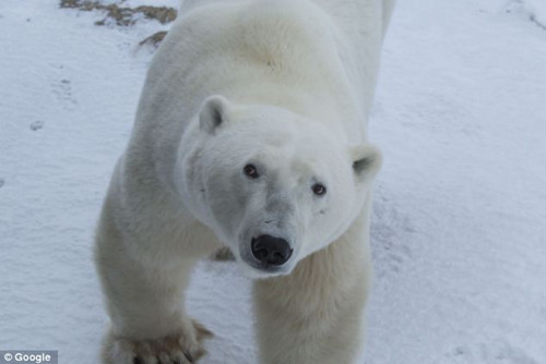 �����������㳵�ı����ܣ���ͷ�л�����Ŷ��