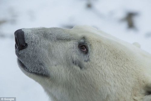 �˴����㣬�ȸ��뱱���ܱ�������������ϣ���ܹ��˽�����йر��������滷���仯����Ϣ��