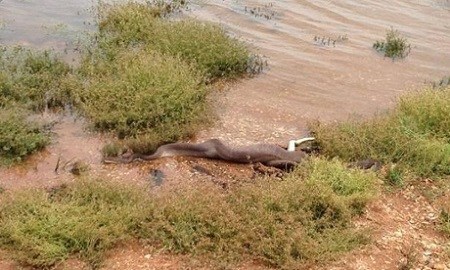 ���߽������������¶�