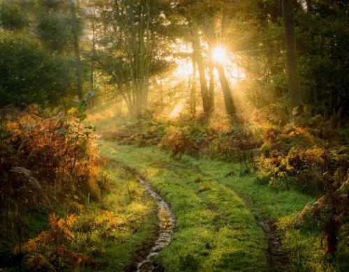 Ŧ���ȴ��ֵĳ�֮�⡣��Ӱ�ߣ����׶�ķ��������