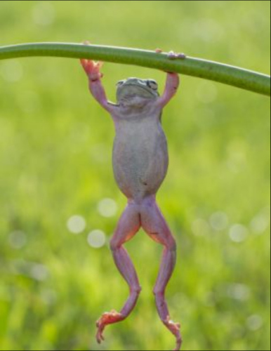 С���ܽ�����֦�����������˶�