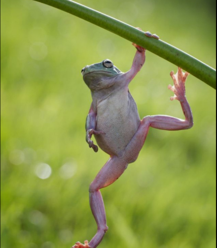 С��������֦������10�������ҵ��˶�