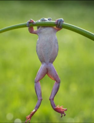 ӡ��һ��ҵ����Ӱʦ�����ѼҵĻ�԰��ץ�ĵ��˾�