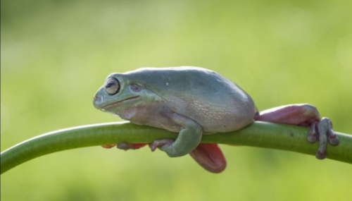 ����������С����������֦�Ͽ�ʼ��Ϣ