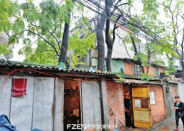 李小金的屋子里有五棵树。 李小金的屋子里有五棵树。