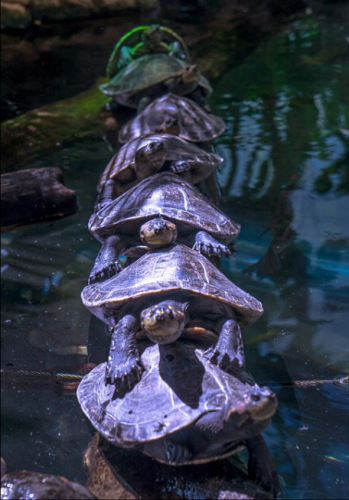 ǰ������֣��㵽���߲��߰��� 