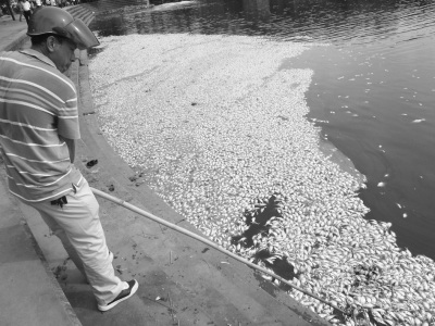 单正党 摄 单正党 摄